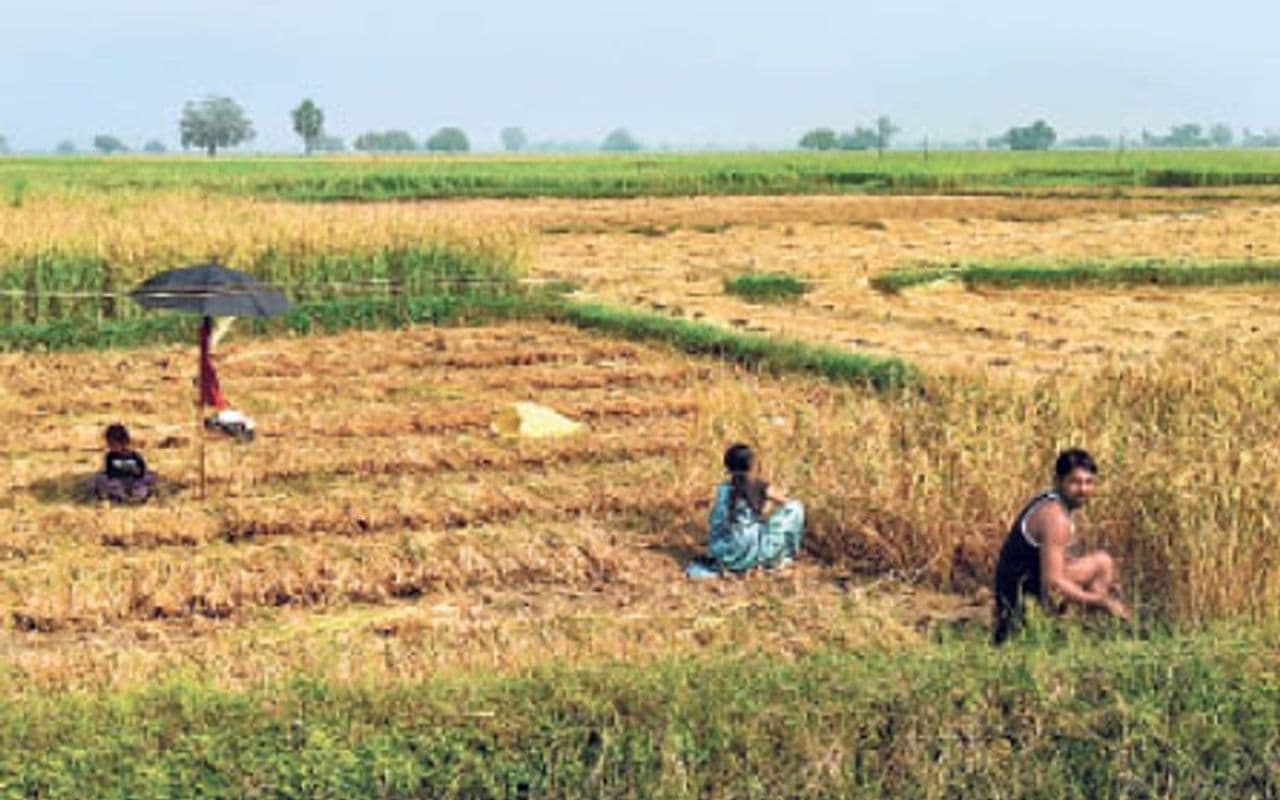Bihar के हजारों किसानों को तीन साल तक नहीं मिलेगा सरकारी लाभ, जानें क्यों लिया गया फैसला
