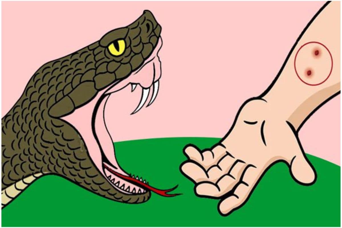 West Bengal : सर्पदंश की नयी दवा ने जगायी उम्मीद ,मौतों पर लगेगा अंकुश