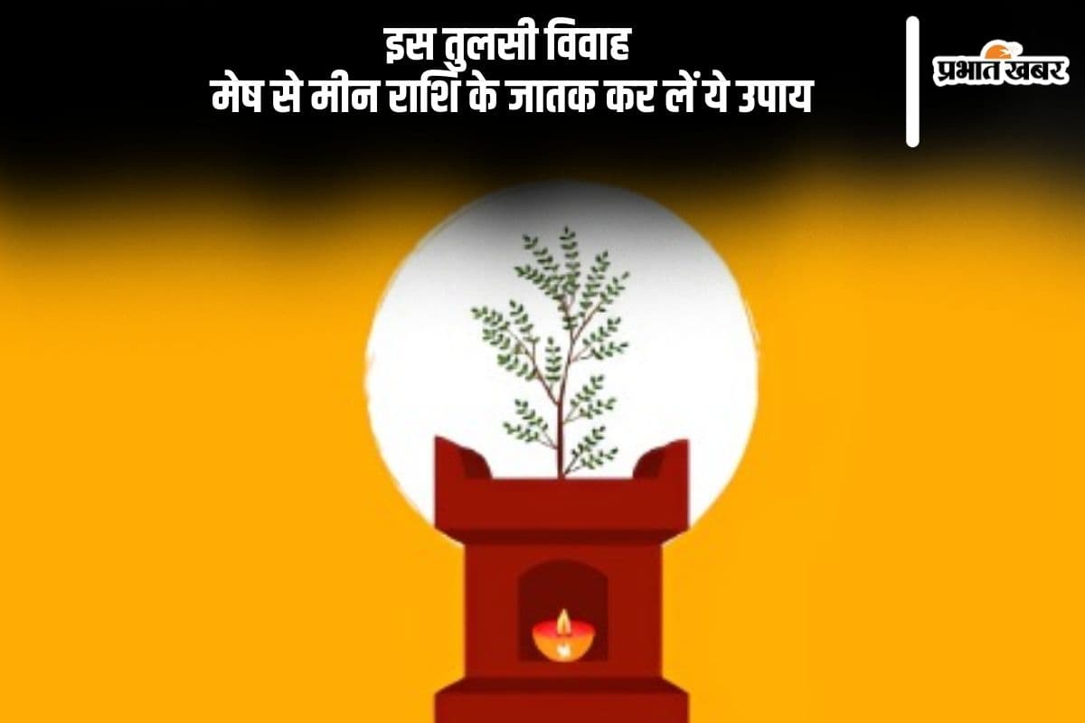 Tulsi Vivah 2024 Rashifal: तुलसी विवाह पर राशियों पर होगा ये असर, मेष से लेकर मीन राशि के जातक करें ये काम