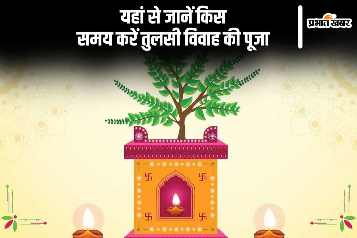 Tulsi Vivah 2024 Shubh Muhurat: तुलसी विवाह का शुभ मुहूर्त आज शाम से शुरु, जानें कब करें पूजा