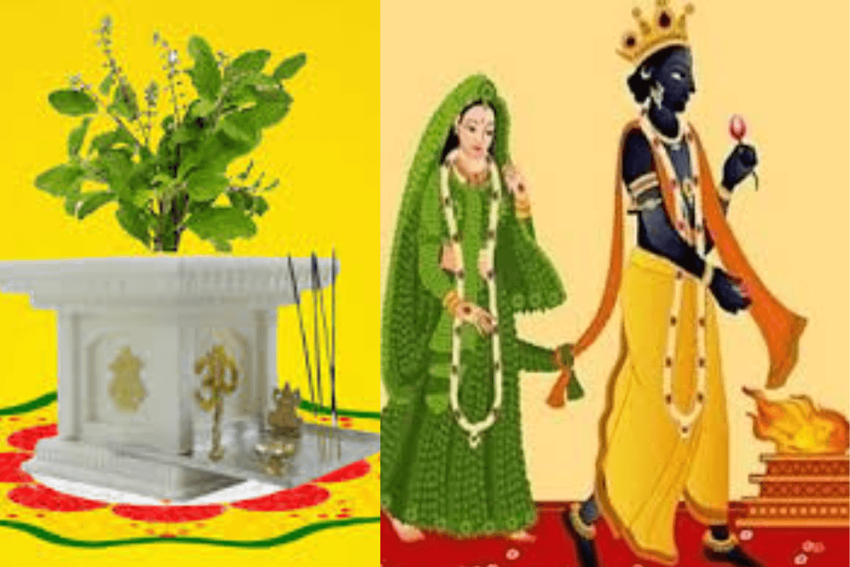 Tulsi Vivah Puja: तुलसी विवाह के अवसर पर कर ले ये छोटे उपाय, इन चीजों को अर्पित करने से सारी परेशानियां हो जाएगी दूर