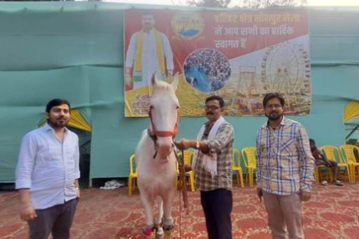 Sonepur Mela में अनंत सिंह के ‘लाडला’ का जलवा, लोग जमकर उड़ा रहे गुड़ की जलेबी और हलवा पराठा Sonepur Mela में अनंत सिंह के ‘लाडला’ का जलवा, लोग जमकर उड़ा रहे गुड़ की जलेबी और हलवा पराठा