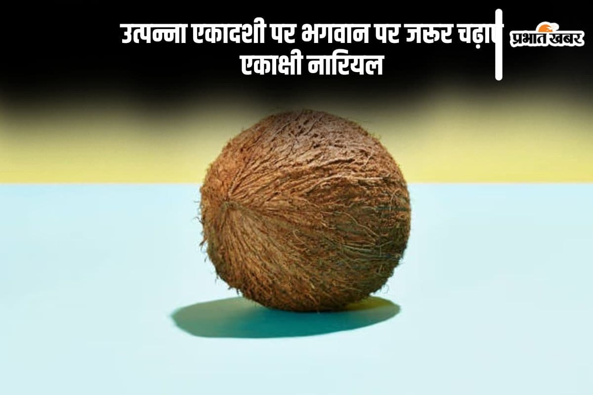 Utpanna Ekadashi 2024: उत्पन्ना एकादशी पर भगवान पर जरूर अर्पित करें एकाक्षी नारियल