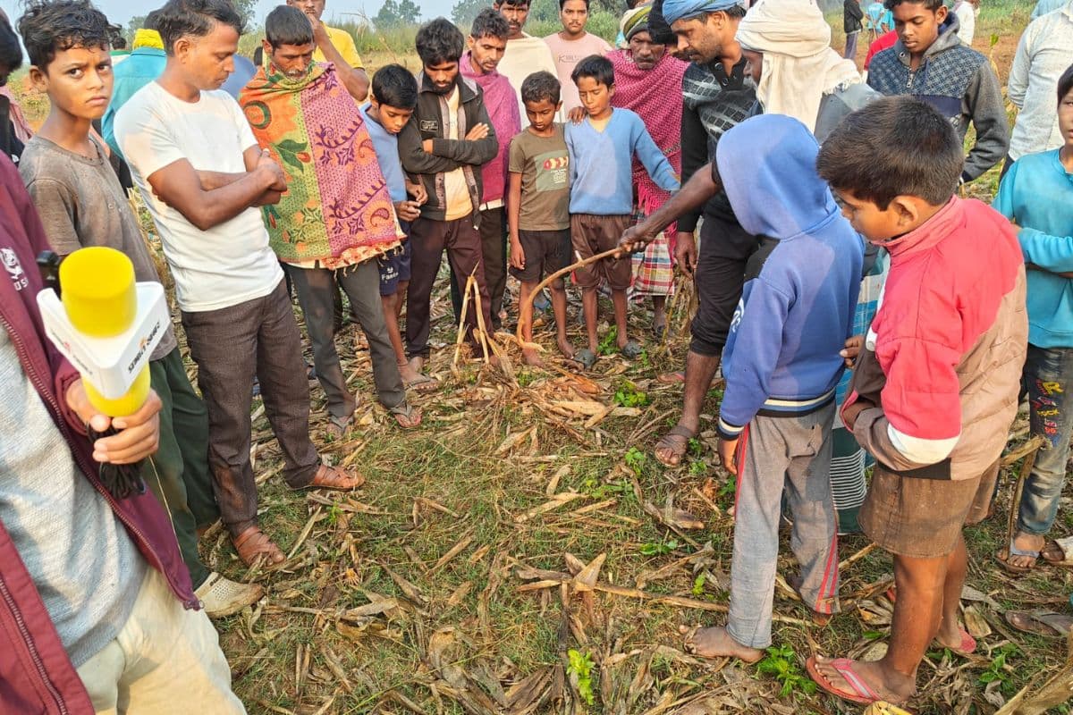 Jharkhand News: गढ़वा में जंगली हाथियों का उत्पात, एक को उतारा मौत के घाट, बीते ढाई माह में 6 लोगों की ली जान