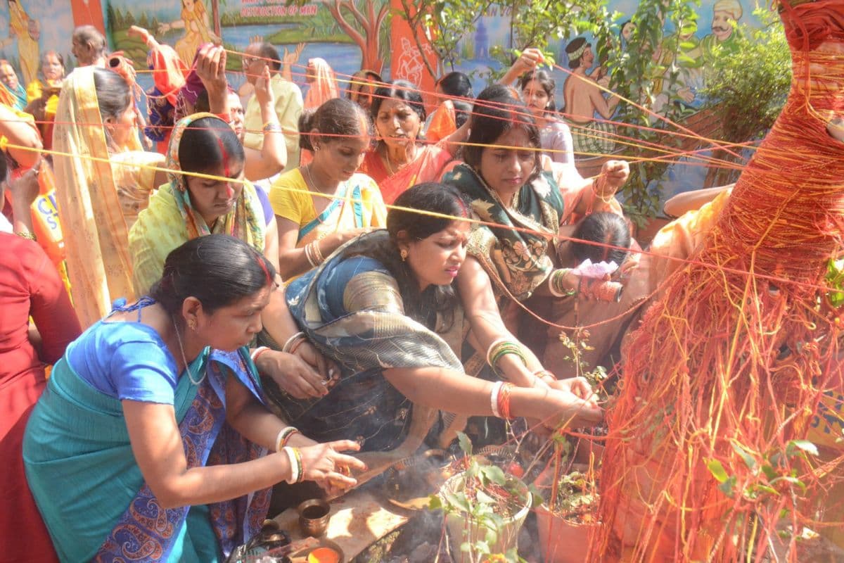 Akshay Navami 2024: अक्षय नवमी पर मां जगधात्री की पूजा, आंवला पेड़ की आराधना कर मांगा आशीष