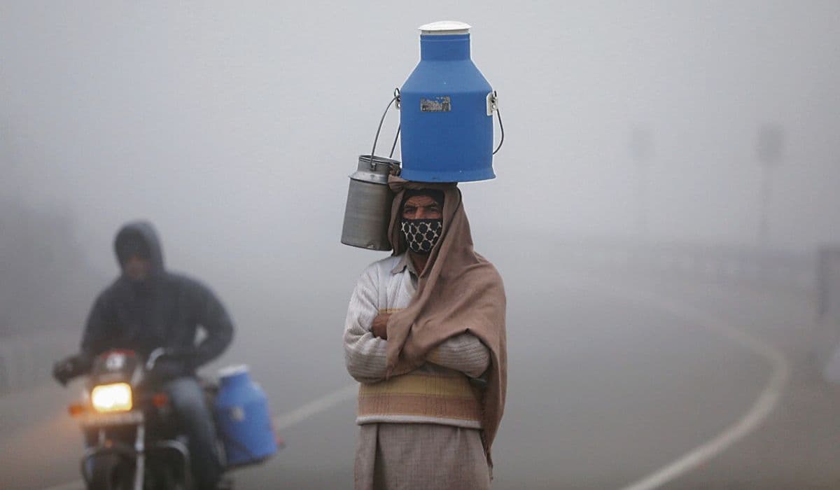 bihar weather news| Bihar Weather: Bihar in the grip of bone-chilling cold, cold day alert in these 14 districts