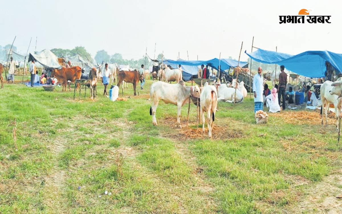 sonepur mela sonepur mela