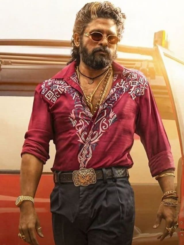 Upcoming Movie: नवंबर-दिसंबर 2024 में फूटेगा इन फिल्मों का बॉम्ब