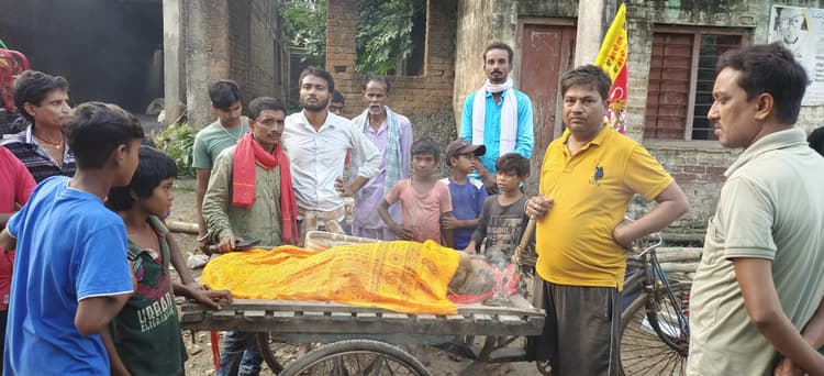 करंट की चपेट में आने से बंदर की मौत