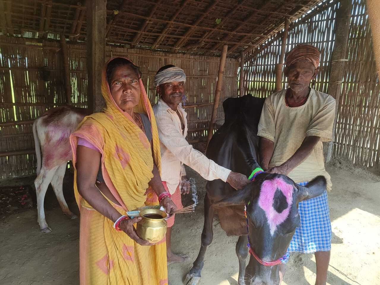 सिंग में तेल लगाकर श्रद्धा भाव से की पशुओं की पूजा