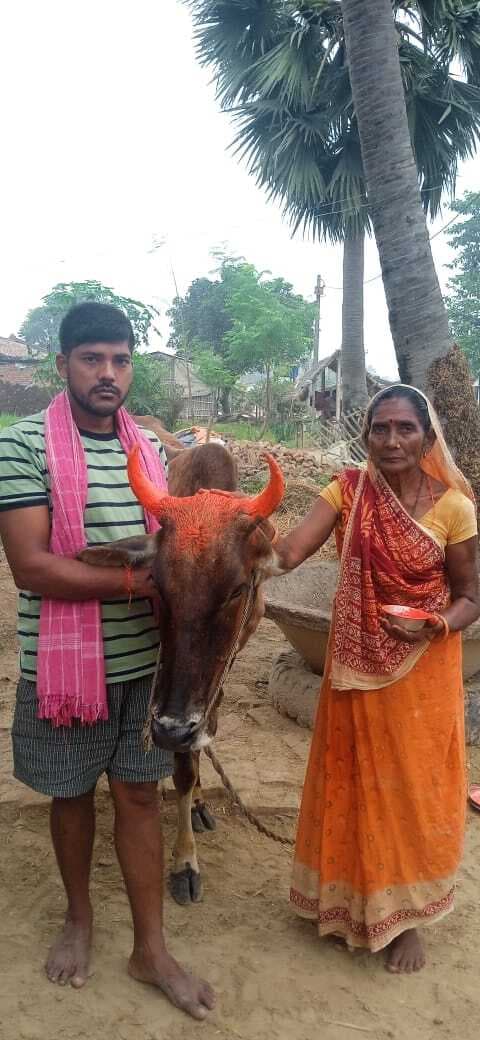 गोवर्धन पूजा संपन्न, आज मनेगा भाई दूज व होगी भगवान चित्रगुप्त की पूजा