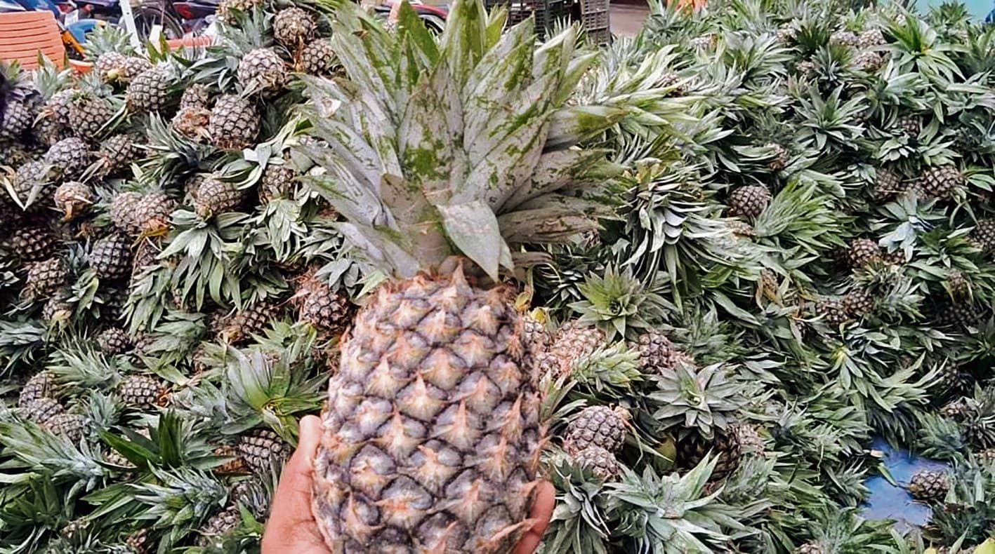 Gopalganj News  : हाजीपुरिया केला, असम के अनानास और कश्मीर के सेब सूप में रख अर्घ देंगे छठव्रती