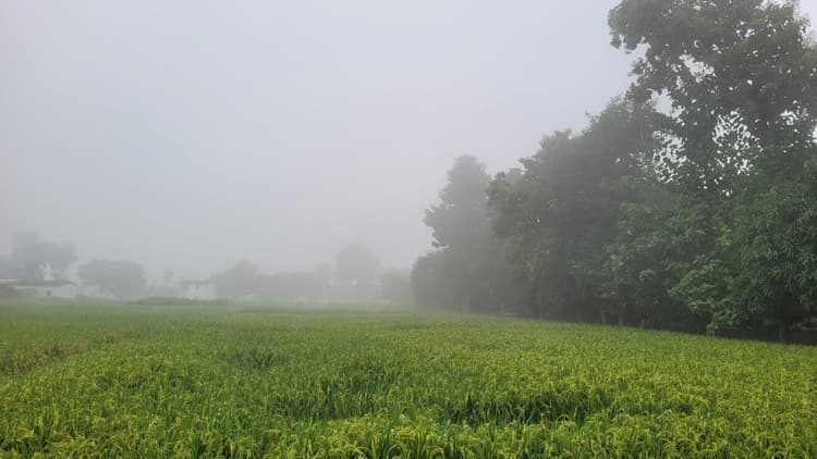 छठ से पहले मौसम का बदला मिजाज, घने कोहरे से ढका रहा जिला
