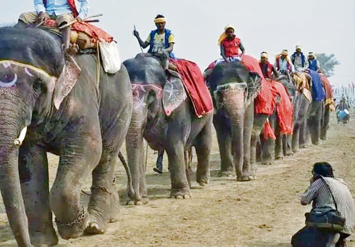 saran News : सोनपुर मेले में अब नहीं आते हाथी, आगंतुक साधु-संतों की संख्या भी घटी