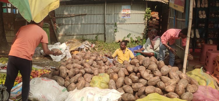 दूसरे राज्यों से खेप उतरने से गिरा नारियल का भाव