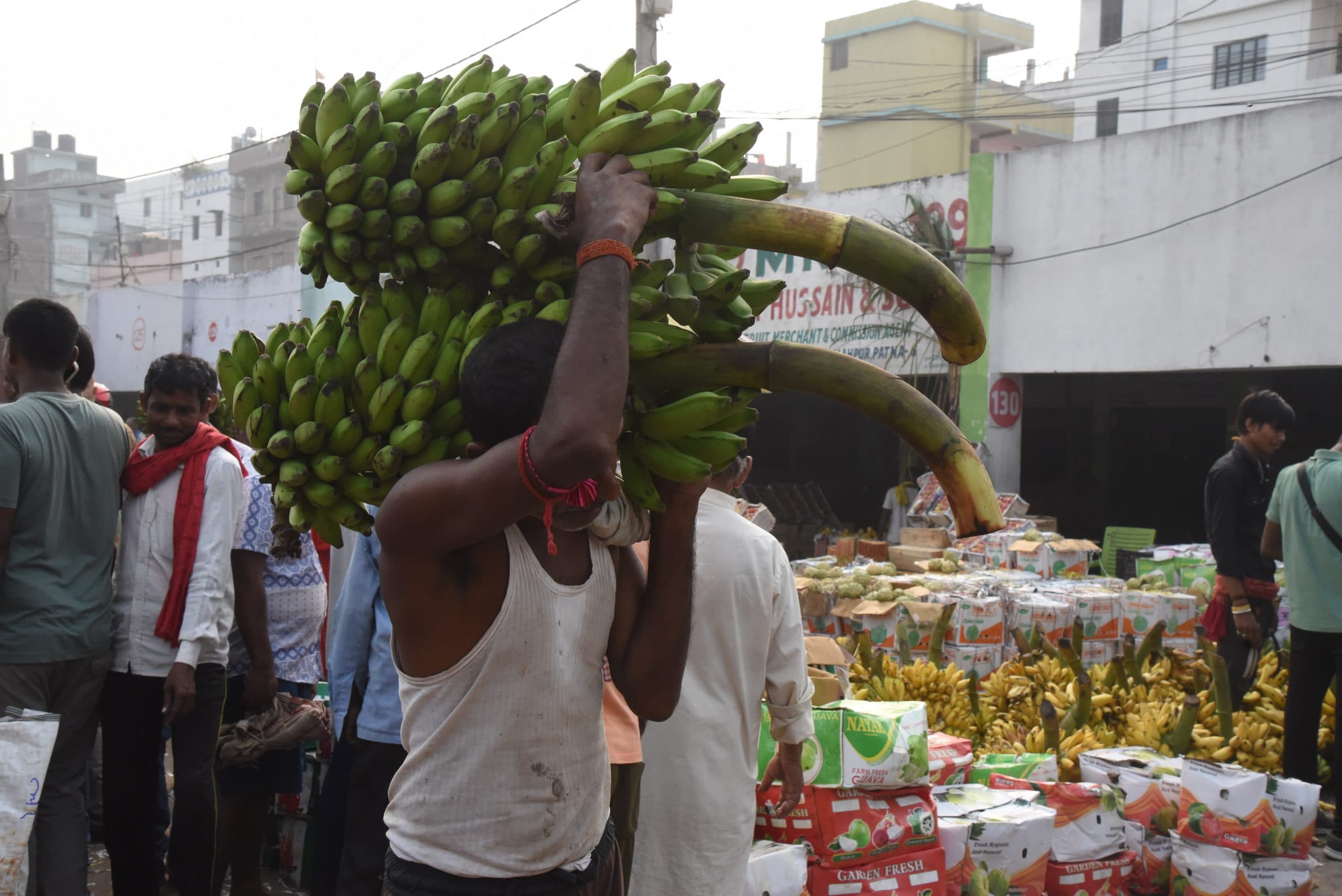 कैंपस : फार्मेसी व कृषि में सेकेंड राउंड के तहत 16 से एडमिशन