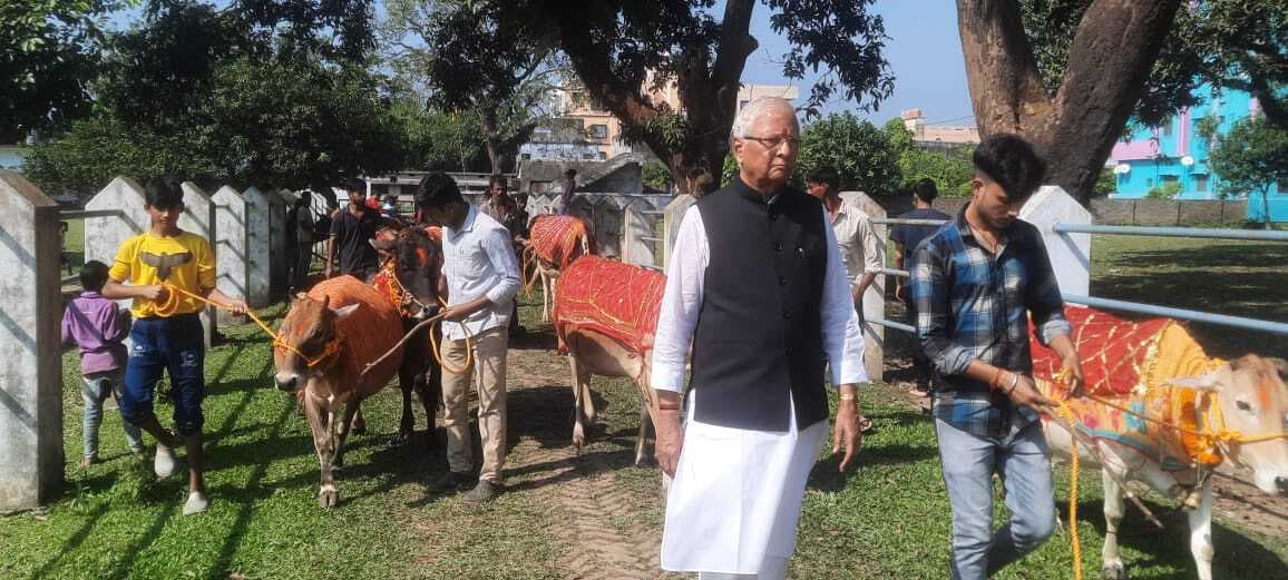 गोपाष्टमी पर्व पर की गयी गौ माता की सेवा
