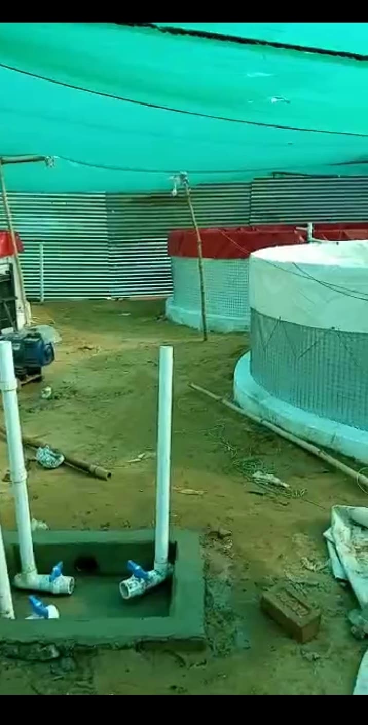 मछली पालन में रोजगार की असीम संभावनाएं