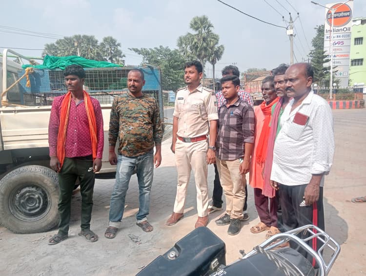 रेस्क्यू कर जंगली बंदर को ले गये वन कर्मी