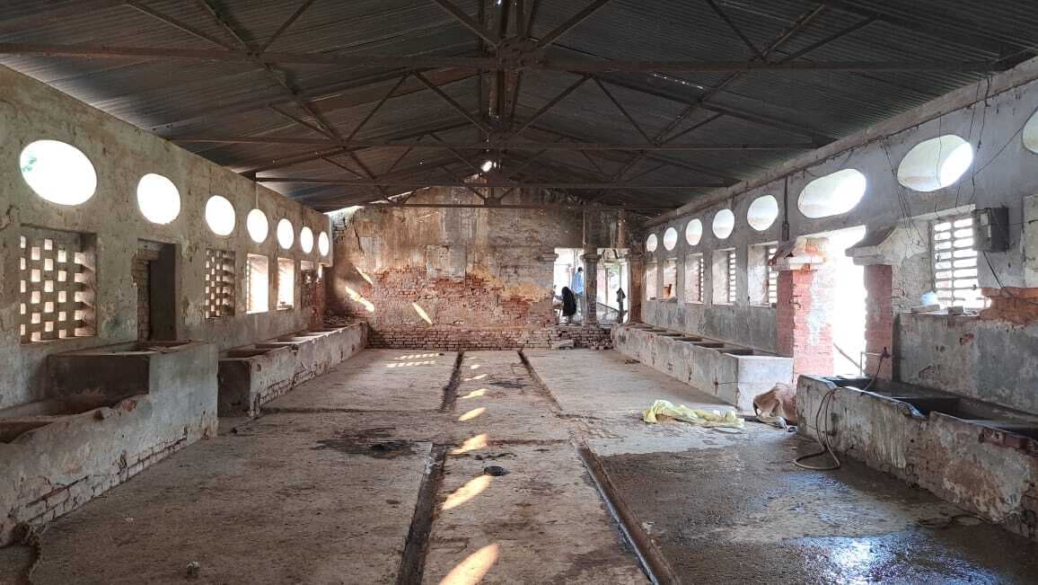 गौशाला : भूख व बीमारी से मर रही गाय, जिम्मेदार बने हैं लापरवाह