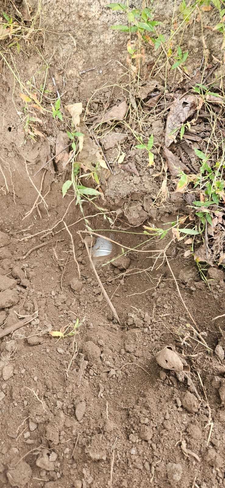 Aurangabad News : पचरुखिया के जंगल दो प्रेशर आइइडी बरामद