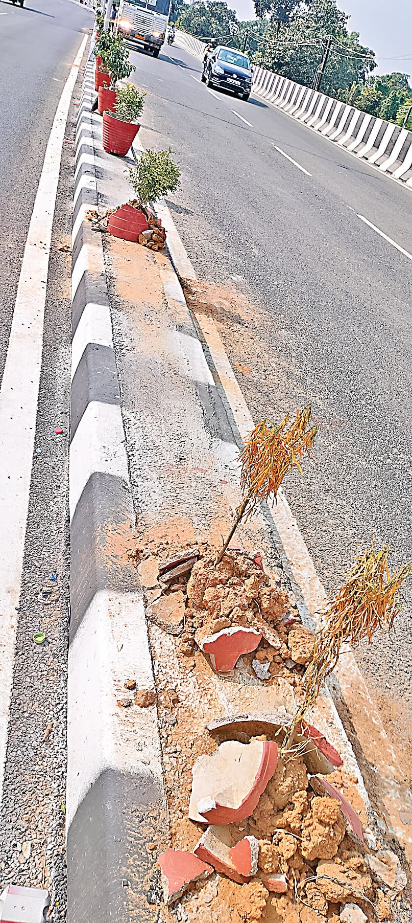 Ranchi News : 2.24 किमी के कांटाटोली फ्लाइओवर में अब बचे हैं गिनती के गमले