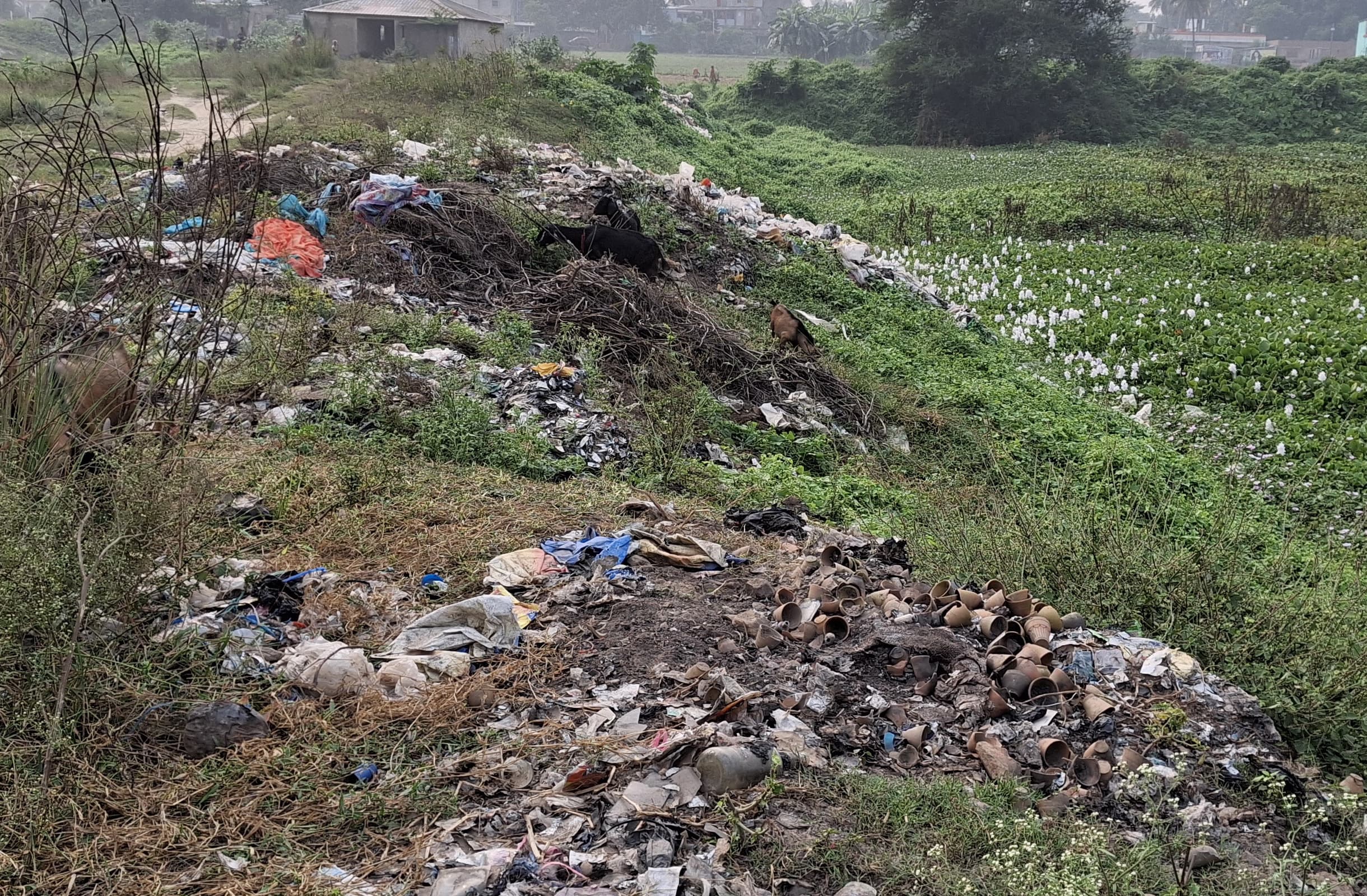 खुले में कचरा जलाने का सिलसिला बदस्तूर जारी