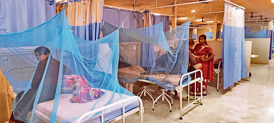 Gaya News : नवंबर में भी गर्मी पड़ने से कम नहीं हो रहा डेंगू का प्रकोप