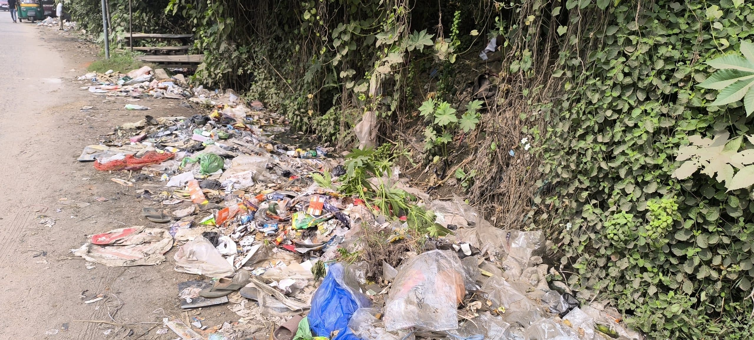 Giridih News: गंदगी से बजबजा रही है नालियां, दुर्गंध से लोग परेशान