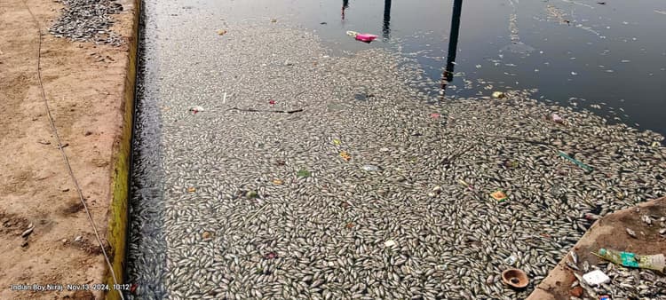 Aurangabad News : सूर्य कुंड तालाब में गंदगी से मरीं मछलियां
