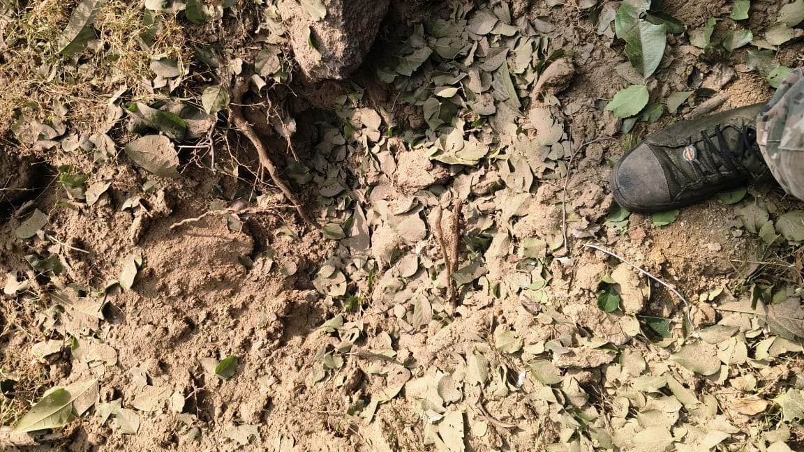 Aurangabad News : लडूइया पहाड़ से मिला पांच किलो का प्रेशर आइइडी