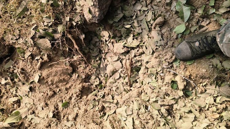 Aurangabad News : लडूइया पहाड़ से मिला पांच किलो का प्रेशर आइइडी