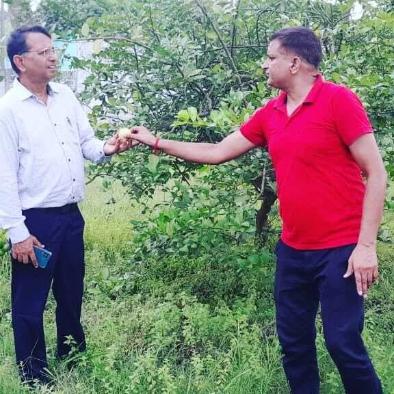 उद्यान विभाग के उप निदेशक ने खेरिया में बागवानी का लिया जायजा