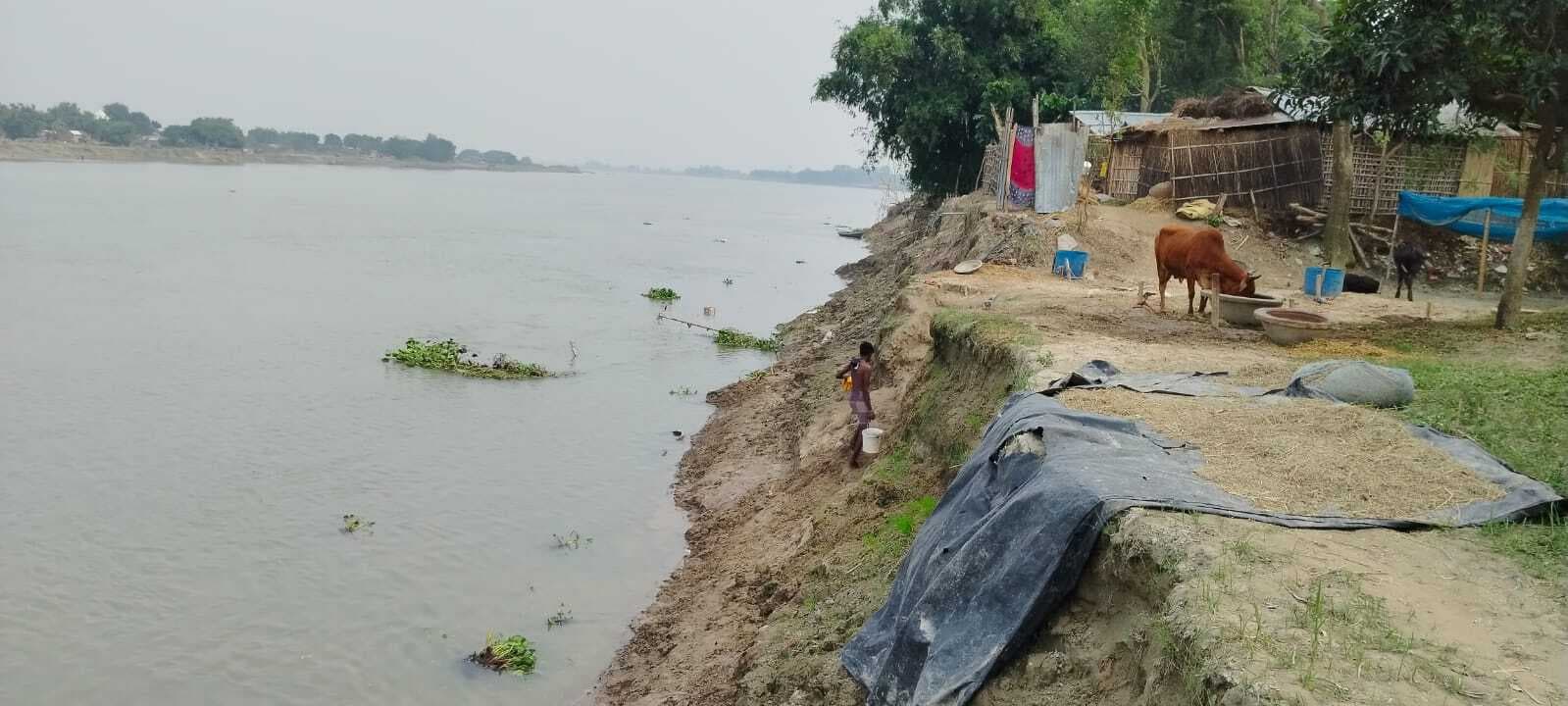 महानंदा नदी के कटाव से बेलगच्छी गांव के दर्जनों परिवार हो चुके हैं विस्थापित