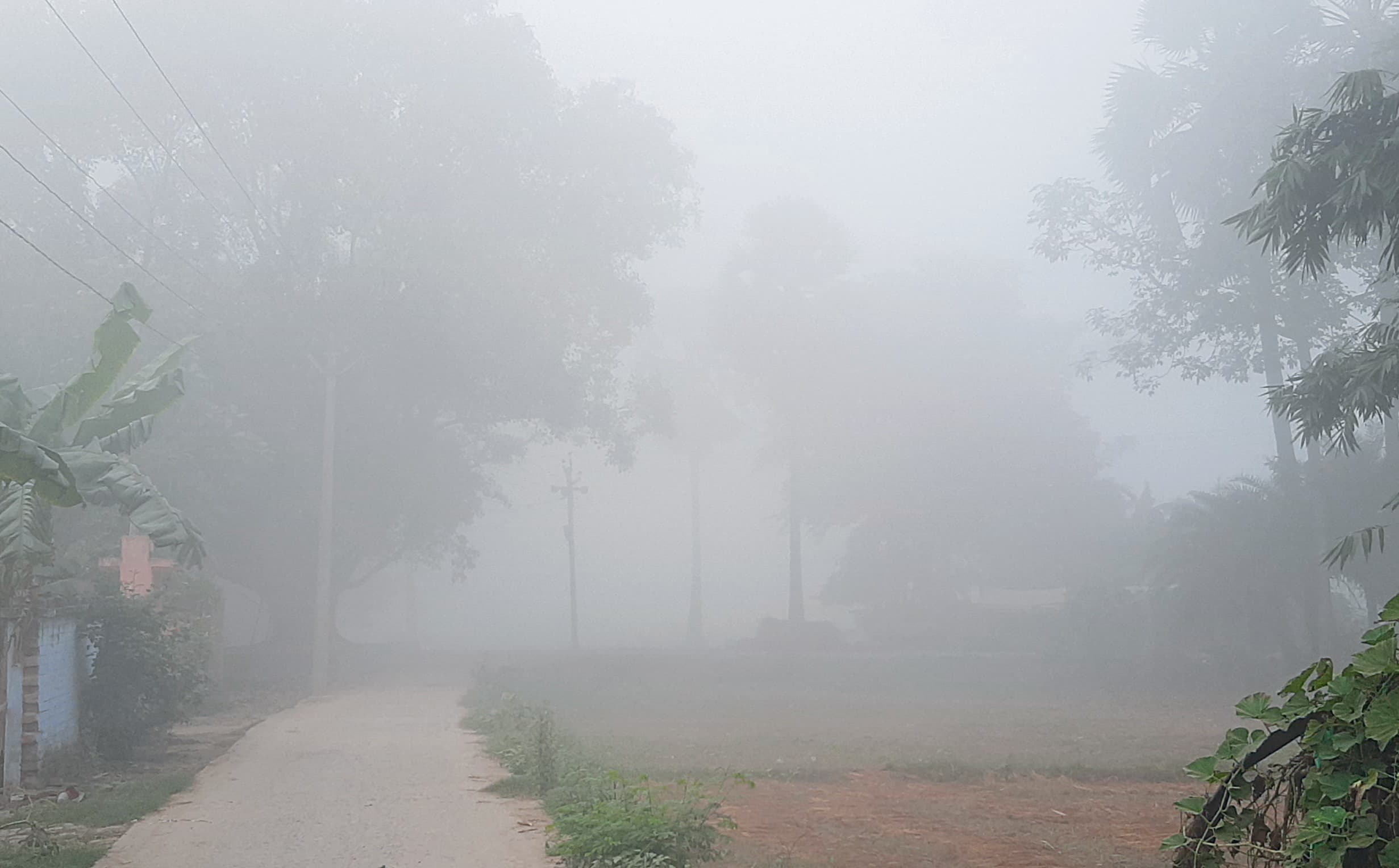 hajipur news. पछुआ हवा से बढ़ी ठंड, घने कोहरे से वाहनों की रफ्तार में आयी कमी