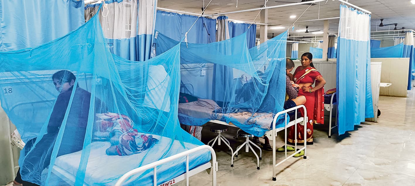 Gaya News : ठंड शुरू होते ही डेंगू के प्रकोप में आने लगी कमी