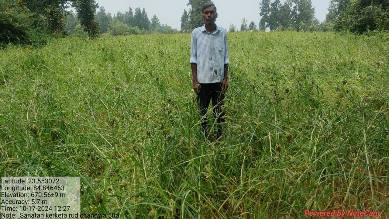 मोटे अनाज की खेती पर किसानों को प्रोत्साहन राशि