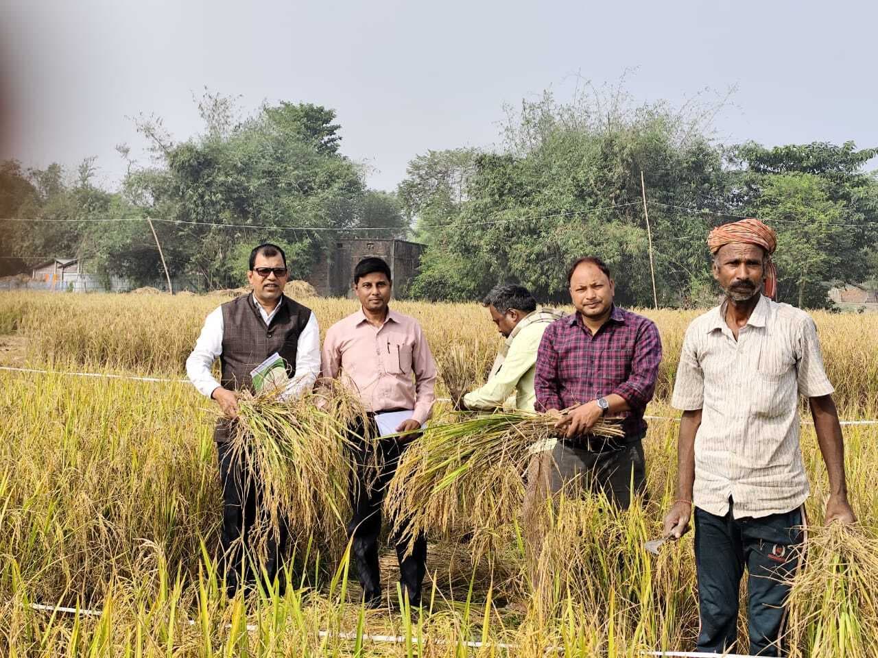 घोषई में जिला सांख्यिकी पदाधिकारी ने किया फसल कटनी प्रयोग