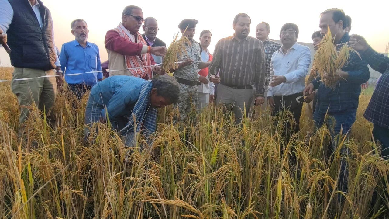 अगहनी धान फसल कटनी प्रयोग का डीएम ने किया निरीक्षण