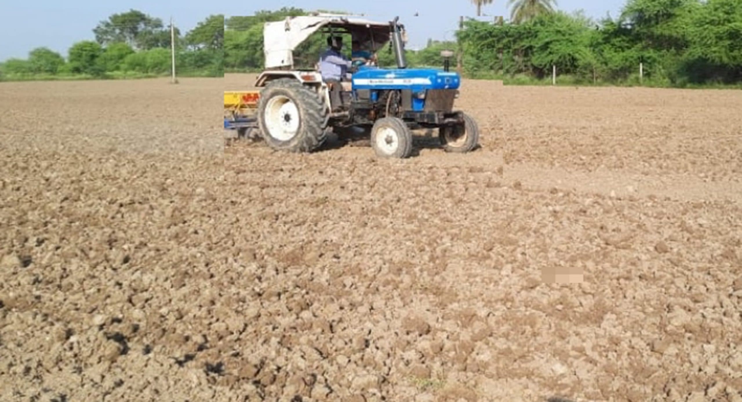 Jamshedpur News : रबी फसल की बुआई शुरू, जिले में शुरुआती रुझान काफी बेहतर