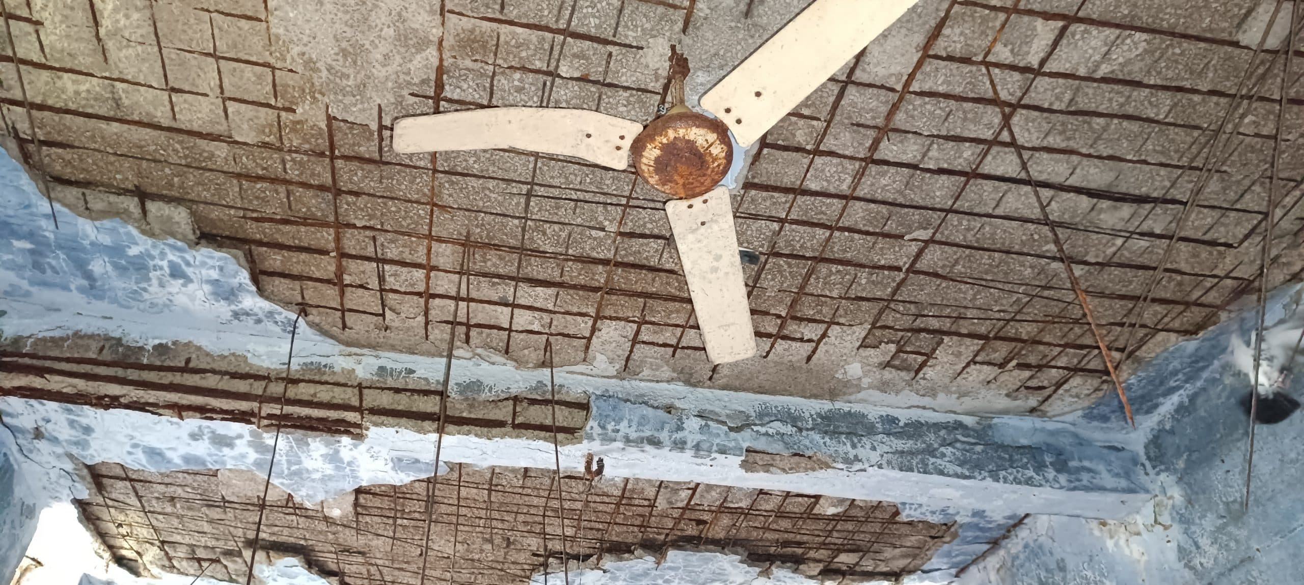 Ghatshila News : छत से गिरता है प्लास्टर, नीचे खौफ में पढ़ते हैं 162 विद्यार्थी