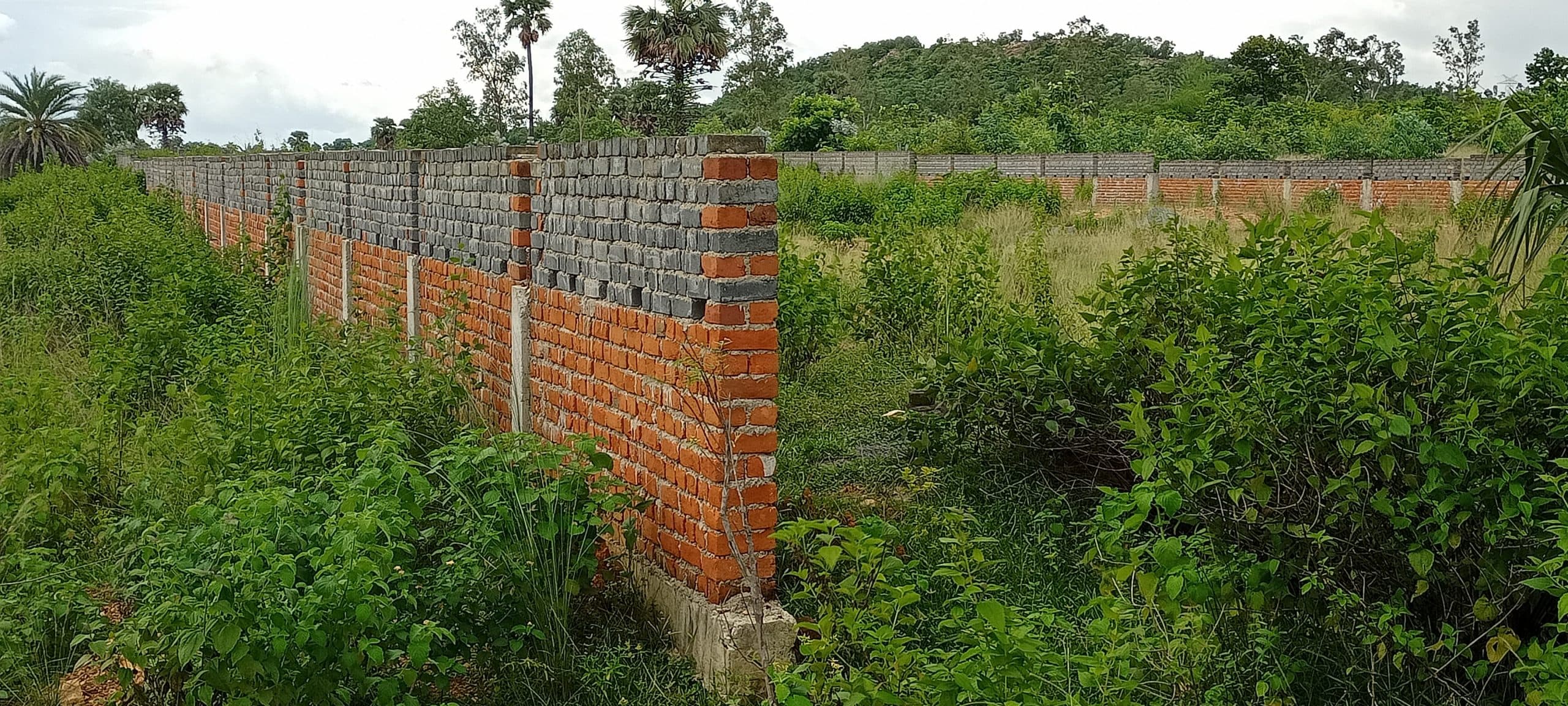 Ghatshila News : घर के बाहर सो रही विक्षिप्त महिला से दुष्कर्म, आरोपी गिरफ्तार