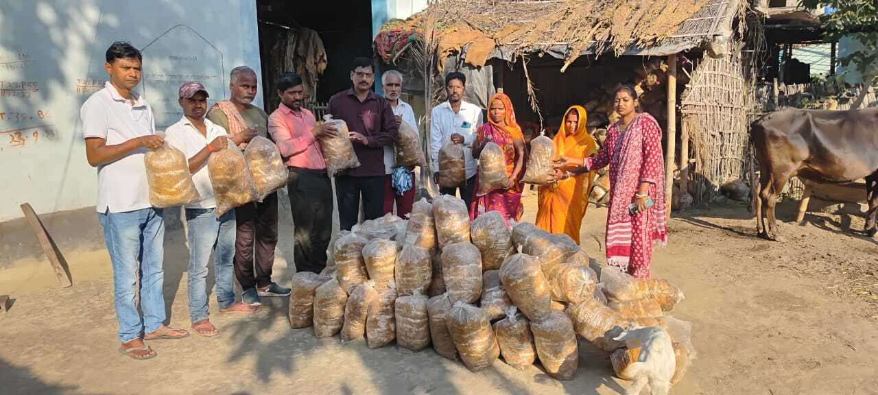 15 कृषकों के बीच मशरूम किट का वितरण