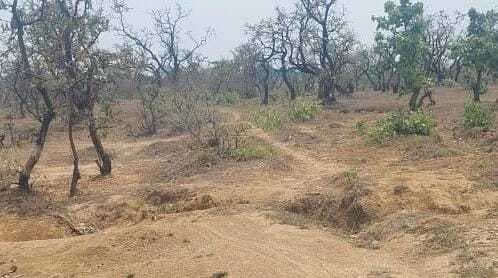 बास्कीडीह पंचायत का बादडंगाल गांव मूलभूत सुविधा से वंचित