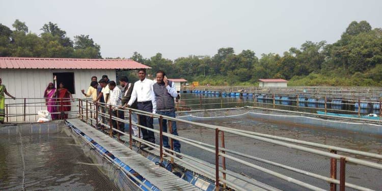 जिला मत्स्य पदाधिकारी ने किया केज कल्चर का निरीक्षण