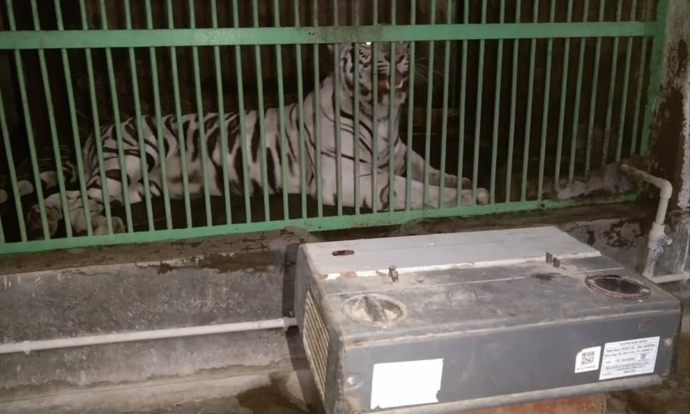 ओके :::::वन्य प्राणियों के लिए लगा रूम हीटर