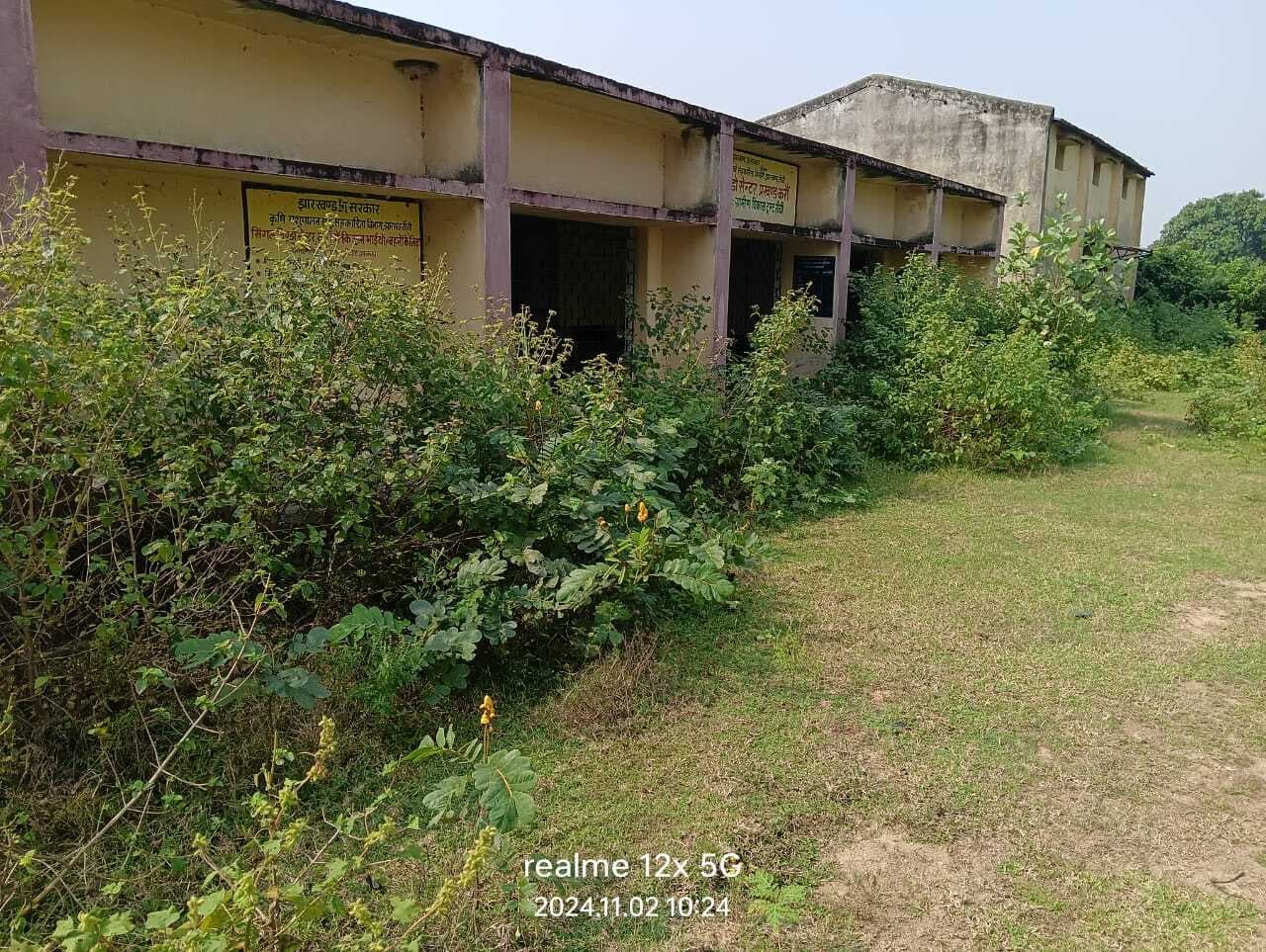 सफाई न होने से सिंगल विंडो सेंटर कार्यालय में उग आयी झाड़ियां