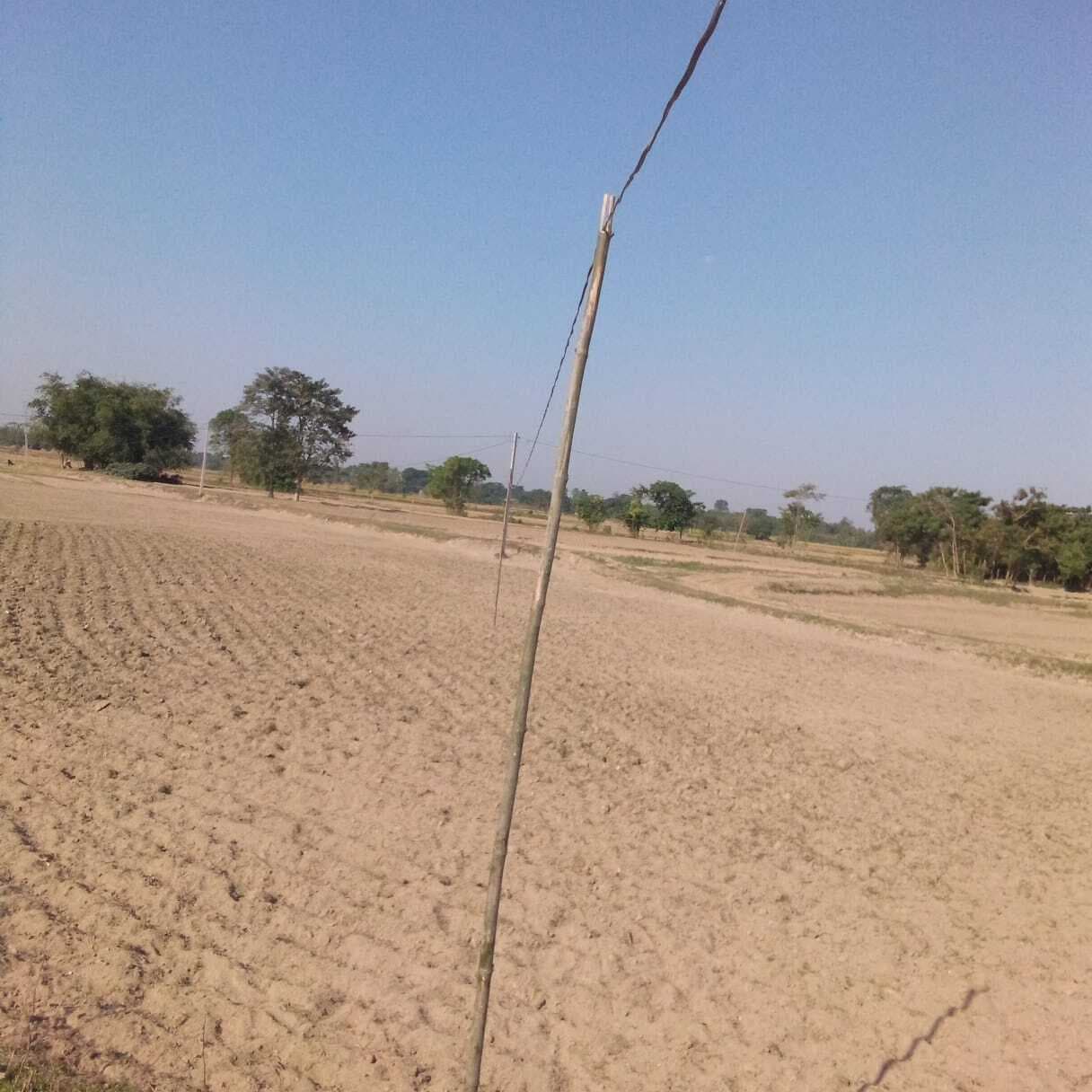 बांस-बल्ली के सहारे खेतों तक हो रही बिजली की आपूर्ति