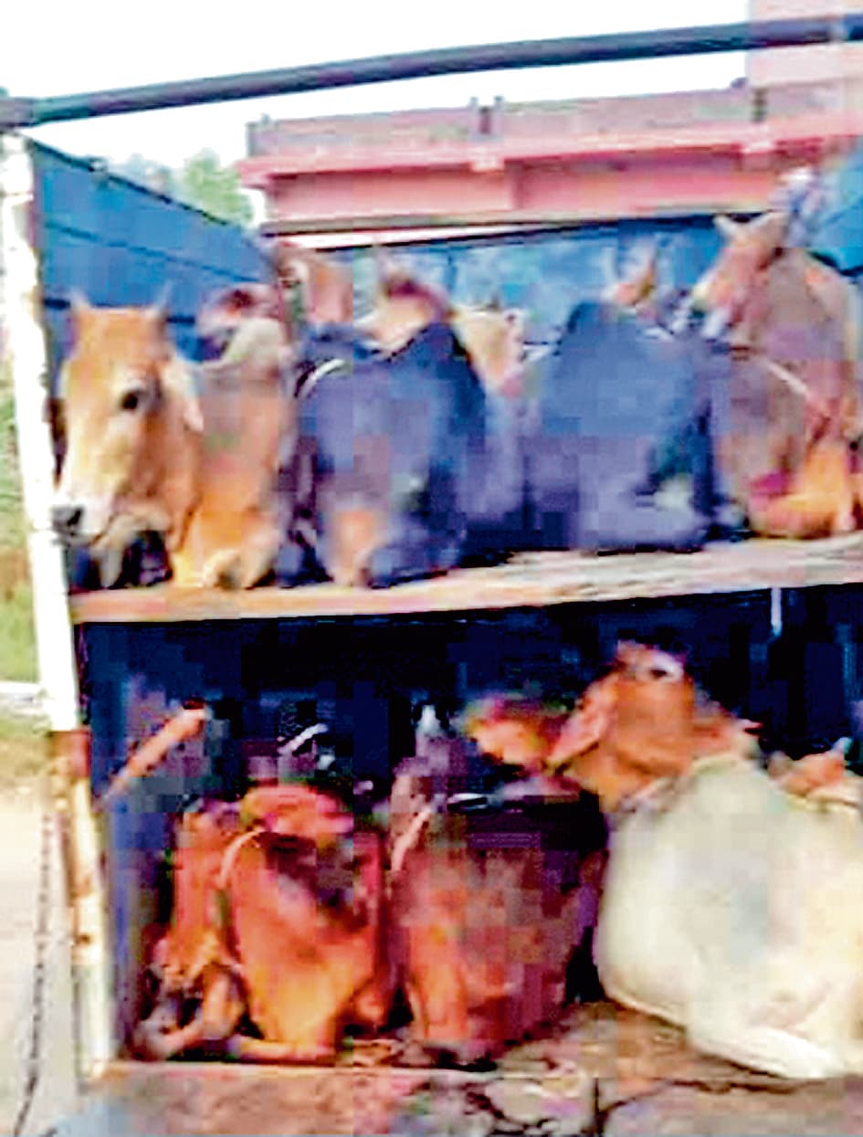 इलम बाजार से सिउड़ी तक चले अभियान में पशु कोयला व बालू वाहन जब्त, कई गिरफ्तार