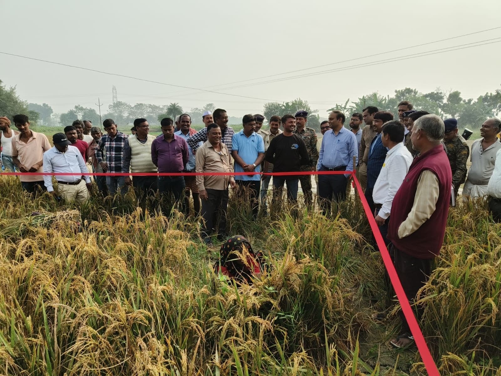 सब्जी उत्पादकों की समस्याओं पर अविलंब पहल की जरूरत : डीएम